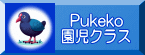 Pukeko 園児クラス