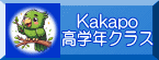 Kakapo 高学年クラス